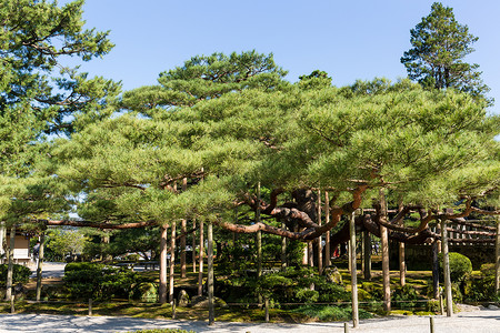 肯罗肯石川公园爬坡道高清图片