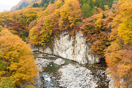 日光鬼怒川日本的秋季森林和河流背景