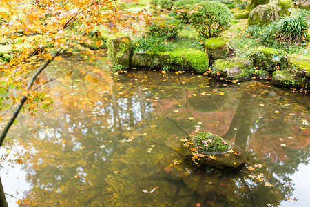 计策日本寺庙的秋天风景背景