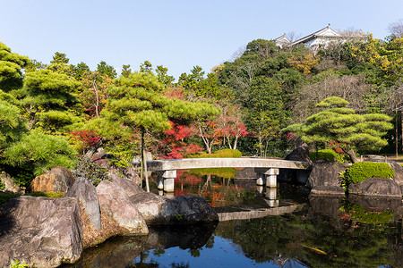 秋天Kokoen花园绿色古园红叶季节红色公园花园旅行植物文化美丽高清图片素材