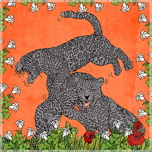 两虎打架印刷卡通片丝网花朵艺术黑色流行框架插图背景背景图片