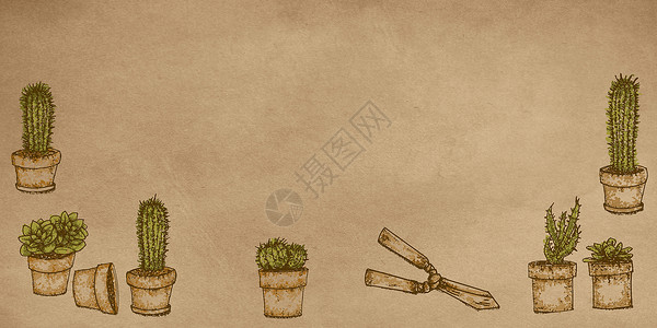 植物的生长范围的现实设计 a caktus花园花卉 植物 园艺工具背景图片