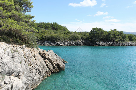 绿石水 岩石和森林 克罗地亚的野外海岸背景图片