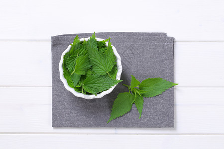 新鲜的树叶灰色植物餐垫背景高架草本植物绿色食物白色折叠背景图片
