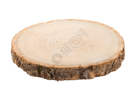 原木切片树皮木材材料白色松树日志圆圈戒指树桩树干背景图片