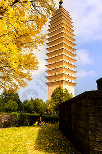 重生寺银杏树寺庙宝塔目的地旅行旅游背景图片