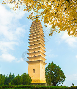 重生寺目的地旅游寺庙银杏树旅行宝塔背景图片