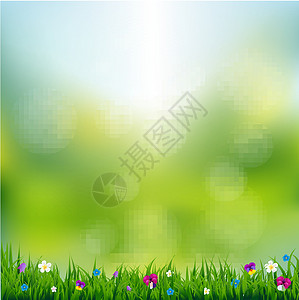 春季风景销售台地蝴蝶明信片花朵中提琴树叶甘菊邀请函插图设计图片