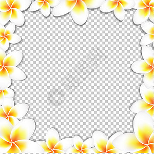 黄色圆框花边框鸡蛋花装饰花框植物框架芳香边框淋浴香气热带风格插画