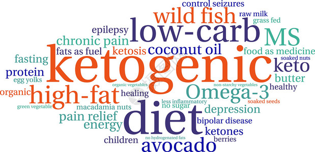 双相生酮词云癫痫原料蛋黄脂肪沮丧蔬菜酮类康复黄油浆果插画