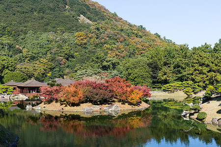 里瓜林花园绿色公园花园四国文化爬坡木头叶子材料土地背景图片