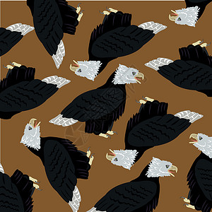 常见的乌鸦棕色猎鹰鸟苍蝇背景棕色插图羽毛航班荒野动物群灰色捕食者插画