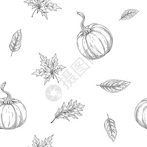 九月在巴塞尔秋天主题无缝模式 南瓜和叶子在轮廓中 矢量 I 说明设计图片