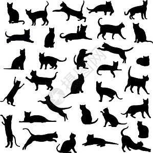 跳跃猫猫类猫咪活动跳跃团体睡眠宠物绘画小猫冒充插图设计图片