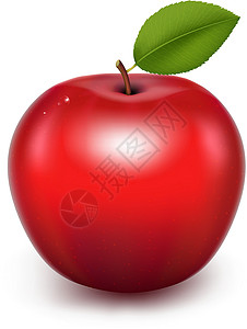 吃光的红苹果红苹果花园水果食物节食反射果汁饮食甜点生态叶子设计图片