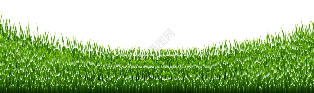 草草边界公园宏观草本植物叶子草地墙纸活力植物环境场地背景图片