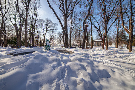 雪下城市公园白色衬套阴影雪花公园树林季节日落分支机构太阳背景图片