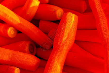 秋季干净的胡萝卜太阳食物国家金子旅行季节色彩环境阳光草地背景图片