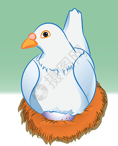 白色的鸽子巢里有鸡蛋的鸽子     矢量说明插画
