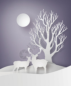 鹿情侣在雪地中站在一起高清图片