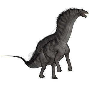阿马加龙恐龙  3D rende插图古生物学动物巨龙白色食草爬虫灭绝草食性脊椎动物背景