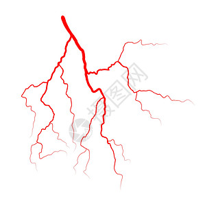 静脉血液系统矢量符号图标设计 美丽的怡乐思医疗墙纸动脉药品眼睛宏观标识蜘蛛横幅插图背景图片