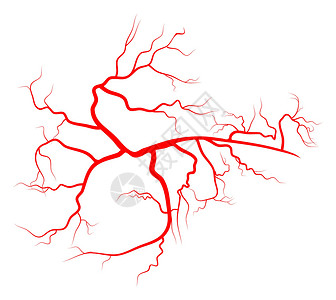 蜘蛛静脉矢量符号图标设计 美丽的插图我治疗疾病硬化静脉曲张卫生疼痛女性身体血管药品背景图片