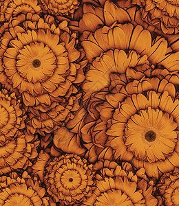 花朵形态橙色背景图片