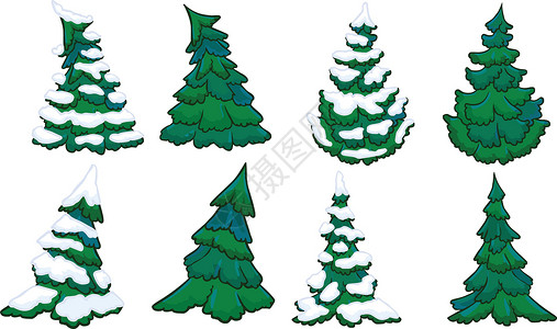 西伯利亚树火炬树说明 冬季和夏季集 孤立无间插画