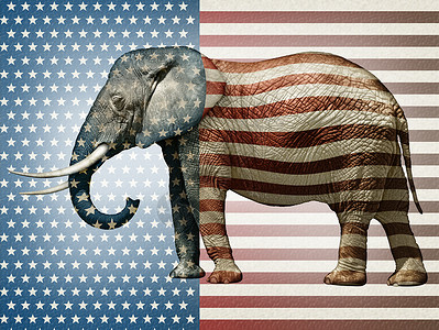 大象野生动物选举哺乳动物政治竞选动物共和象牙符号背景