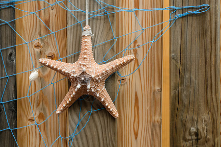 木纹素材网风化木板上海星和蓝网的海星背景设计与装饰海滨橡木风化海洋小行星贝壳木板木纹卡片木头背景