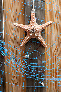 木纹素材网风化木板上海星和蓝网的海星背景设计与装饰状况标签贝壳动物海滨风化木头木板木材小行星背景