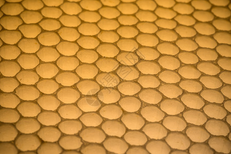 蜂窝蜂蜡黄色蜜蜂多边形橙子细胞六边形金子背景图片