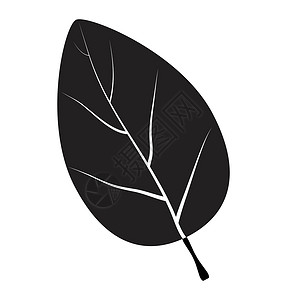 黑色树叶叶剪影矢量符号图标设计收藏树叶插图黑色植物学植物群白色季节植物标识插画