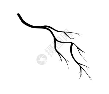 拿桂花树枝的手分支剪影图标符号设计 在白色背景上隔离的矢量图艺术季节性树枝插图季节浮木枝条绘画标识木头插画