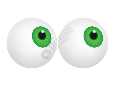 有绿色学生的眼球 iris 现实人的身体部分设置 矢量插图在白色背景上被隔离背景图片