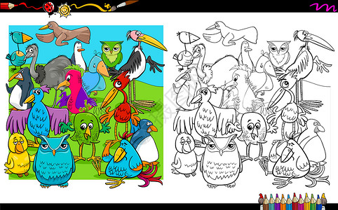 彩鸟鸟类字符组着色嘘设计图片