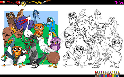 海雀科动物鸟字符组着色嘘设计图片