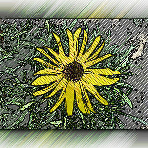 计算机生成的半色调 popart 风格花卉艺术品马赛克创造力植物艺术阴影万花筒铅笔草图插图装饰品背景图片
