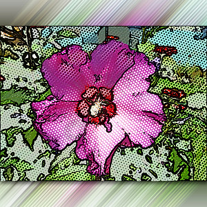 计算机生成的半色调 popart 风格花卉艺术品流行万花筒草图铅笔阴影植物艺术马赛克创造力插图背景图片