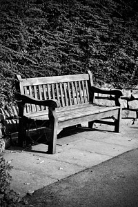 公园中的木板黑色白色背景图片