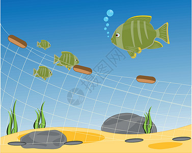 瓦卡提普湖渔网 seaborn插画