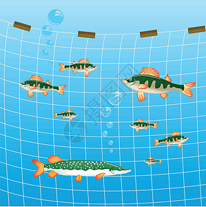 线网捕鱼网和鱼河插画