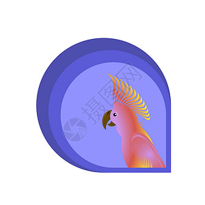 粉红蟑螂鹦鹉鸟测标设计高清图片