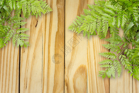 木板上的绿叶 带有边框的空间艺术桌子感恩横幅问候语木头边界叶子框架花园背景图片