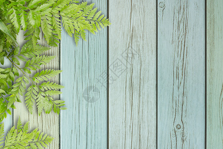 木板上的绿叶 带有边框的空间花园乡村明信片边界问候语横幅框架庆典桌子感恩背景图片