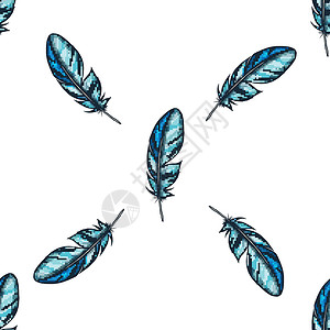 矢量无缝模式与蓝色详细的鸟羽毛鹅毛笔白色收藏鹦鹉金刚鹦鹉热带柔软度翅膀背景图片