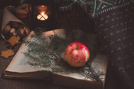 黑苹果素材圣诞树枝上的红苹果和黄苹果 还有一本旧书 在黑灯笼或蜡烛手旁边情绪木头艺术山脉羊毛智慧小屋学习幼苗床单背景