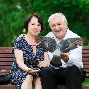 美丽的老夫妇坐在长椅上退休老年森林成人男人鸟类鸽子情人家庭女士背景图片