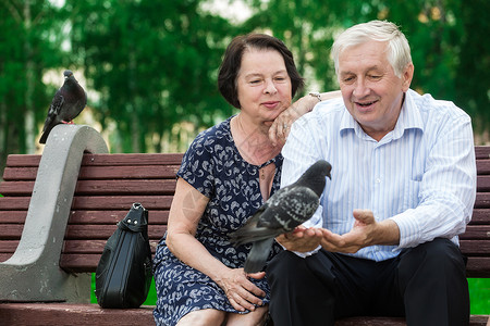 美丽的老夫妇坐在长椅上公园成人鸽子鸟类家庭男人退休森林男性女士背景图片